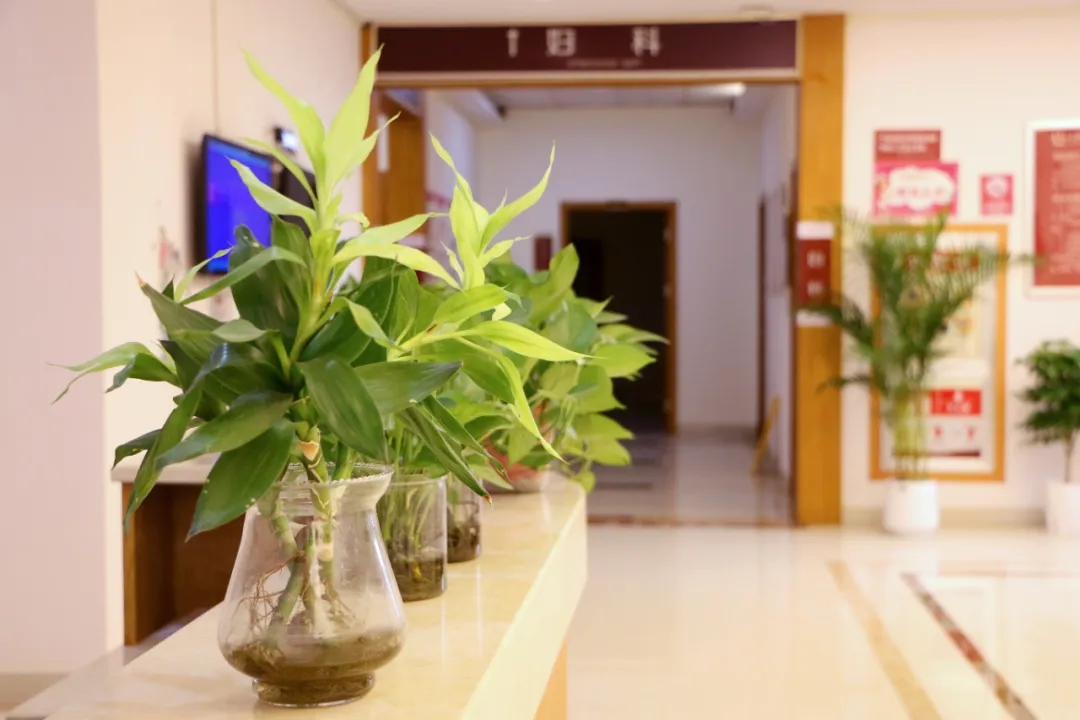 上虞第三医院,月度播报,总结